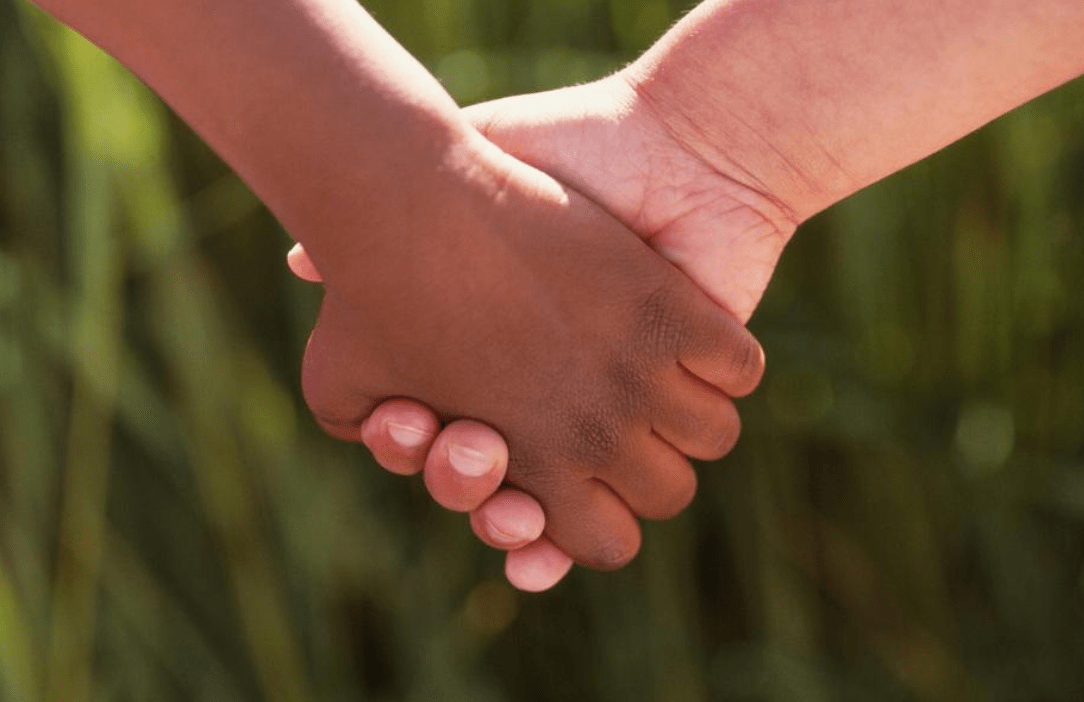 Screen Shot 2019-02-02 at 2.07.45 PM